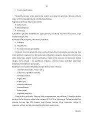 Transporto įmonės DLG maršrutų analizė ir plėtra 16 puslapis