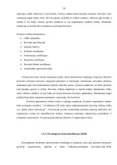 Transporto įmonės DLG maršrutų analizė ir plėtra 20 puslapis