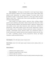 Transporto įmonės DLG maršrutų analizė ir plėtra 3 puslapis