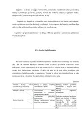 Transporto įmonės DLG maršrutų analizė ir plėtra 7 puslapis