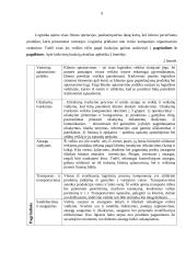 Transporto įmonės DLG maršrutų analizė ir plėtra 9 puslapis