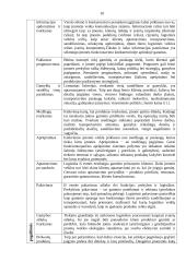 Transporto įmonės DLG maršrutų analizė ir plėtra 10 puslapis