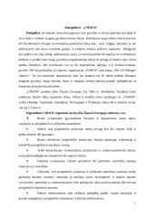 Pabėgelių integracija į visuomenę 3 puslapis