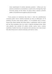 Stambulo konvencija 3 puslapis