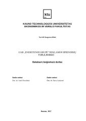 UAB "X" reklamos sprendimų tobulinimas