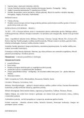 Didieji geografiniai atradimai konspektas 11 klasei 2 puslapis