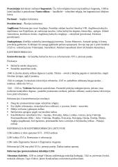 Didieji geografiniai atradimai konspektas 11 klasei 4 puslapis