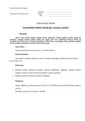 Automobilio kliūties detekcijos sistemos analizė