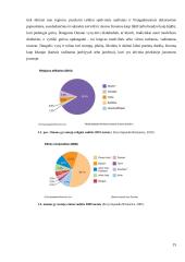 Verslo komunikacijos ypatumai su Omano sultonato verslo atstovais 15 puslapis