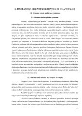 Verslo komunikacijos ypatumai su Omano sultonato verslo atstovais 17 puslapis