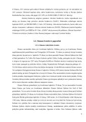 Verslo komunikacijos ypatumai su Omano sultonato verslo atstovais 9 puslapis