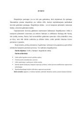 UAB "Vlantana" praktikos analizė 1 puslapis