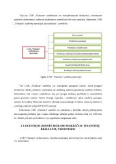 UAB "Vlantana" praktikos analizė 7 puslapis