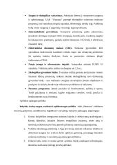 UAB "Vlantana" praktikos analizė 8 puslapis