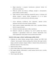 UAB "Vlantana" praktikos analizė 9 puslapis