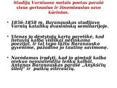 Antanas Baranauskas, biografija, kūryba, „Anykščių šilelis“ analizė 11 puslapis