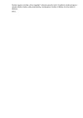 Vaikystės pasaulis lietuvių literatūroje 2 puslapis