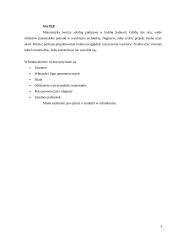 Symetria w architekturze 3 puslapis