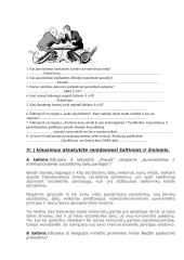 Šaltasis karas. Testas 3 puslapis