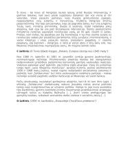 Šaltasis karas. Testas 4 puslapis