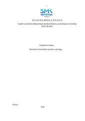 Muitinės kriminalinė tarnyba