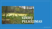 Ežerų pelkėjimas