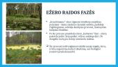 Ežerų pelkėjimas 6 puslapis