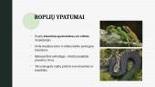 Stuburinių gyvūnų ypatumai 10 puslapis