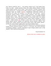 Žmogaus patirties atskleidimas lietuvių literatūroje 2 puslapis