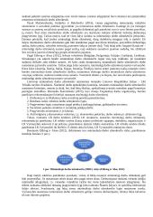 Darbo užmokesčio tendencijos ES šalyse 2 puslapis