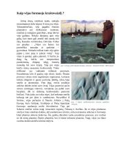 Vėjas - geologinis procesas 3 puslapis