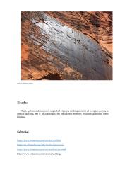 Vėjas - geologinis procesas 5 puslapis