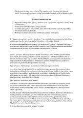 Marius Katiliškis klausimai ir analizė 2 puslapis