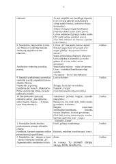 Vinco Mykolaičio-Putino „Altorių šešėly“ analizė (labai išsami) 2 puslapis