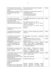 Vinco Mykolaičio-Putino „Altorių šešėly“ analizė (labai išsami) 12 puslapis