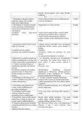 Vinco Mykolaičio-Putino „Altorių šešėly“ analizė (labai išsami) 13 puslapis