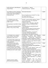 Vinco Mykolaičio-Putino „Altorių šešėly“ analizė (labai išsami) 14 puslapis