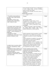 Vinco Mykolaičio-Putino „Altorių šešėly“ analizė (labai išsami) 15 puslapis