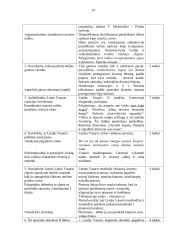 Vinco Mykolaičio-Putino „Altorių šešėly“ analizė (labai išsami) 19 puslapis