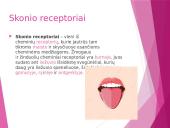 Uoslė ir skonis 11 puslapis