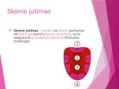 Uoslė ir skonis 13 puslapis