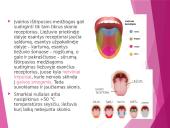 Uoslė ir skonis 14 puslapis