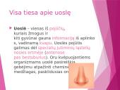 Uoslė ir skonis 4 puslapis