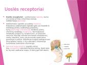 Uoslė ir skonis 6 puslapis