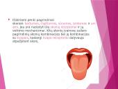 Uoslė ir skonis 10 puslapis