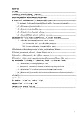 Lobistinės veiklos teisinio reguliavimo ypatumai Lietuvoje ir ES 2 puslapis