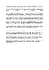 Kokia meno paskirtis? 2 puslapis