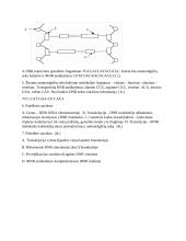 Transliacija užduotys 2 puslapis