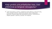 Vidurio platumų miškų ir drėgnųjų miškų gyvūnų ir augalų prisitaikymas prie sąlygų. 5 puslapis