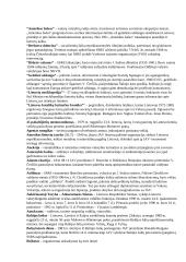 Nepriklausomybės atkūrimas 11 puslapis